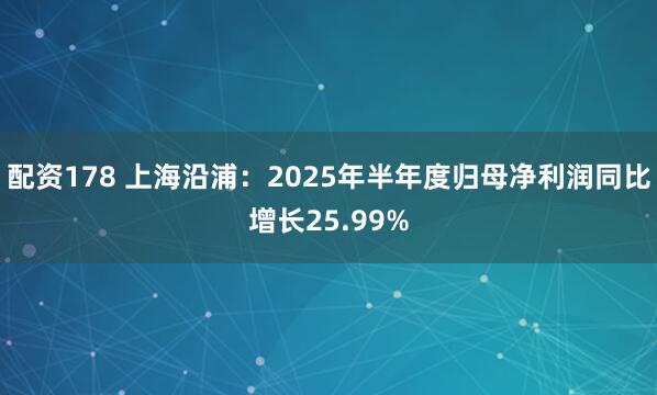 配资178 上海沿浦：2025年半年度归母净利润同比增长25.99%